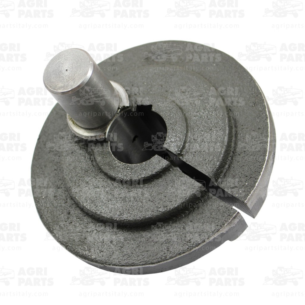 6007901 - MOZZO ECCENTRICO DX - 0006007901CL