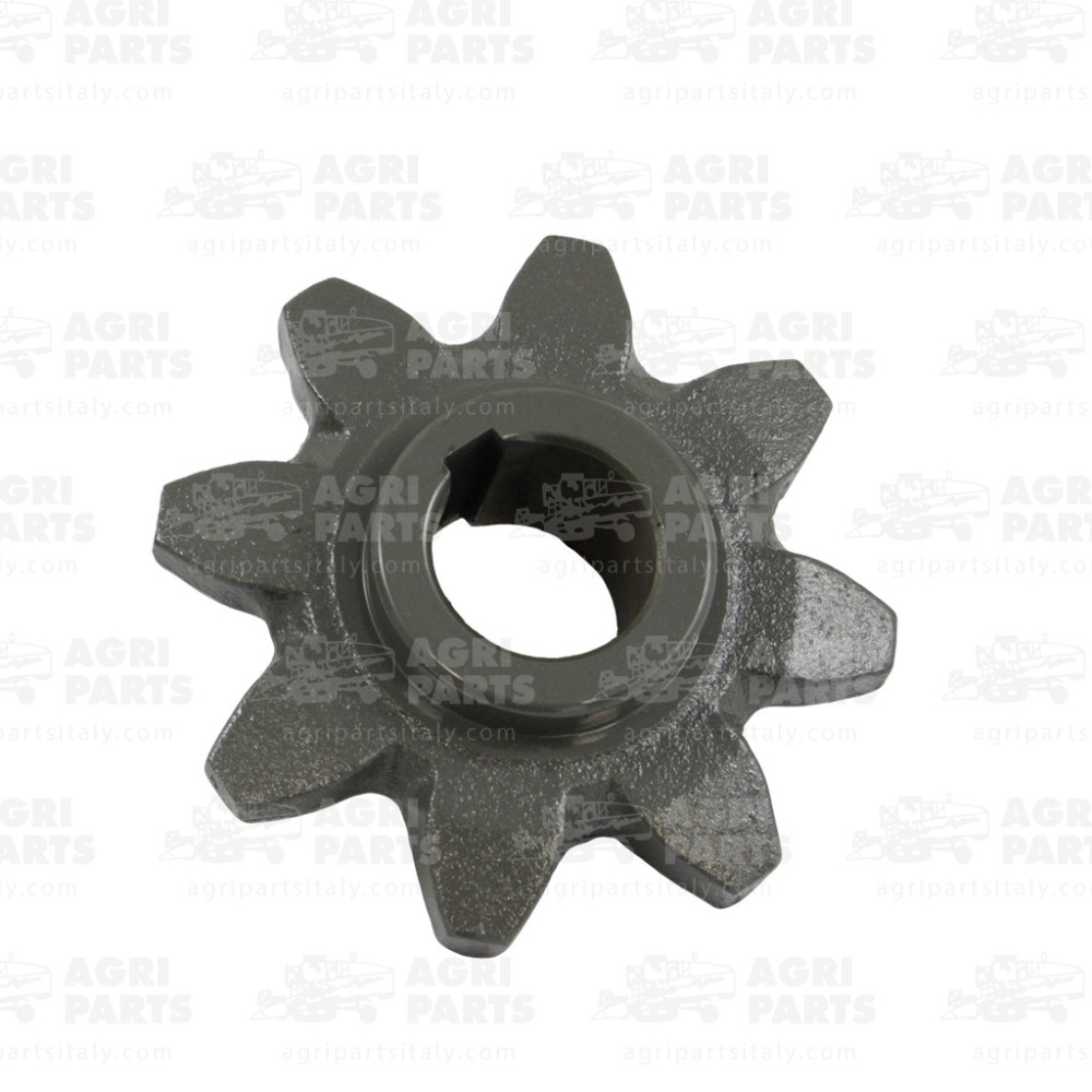 6101990 - PIGNONE - 0006101990CL