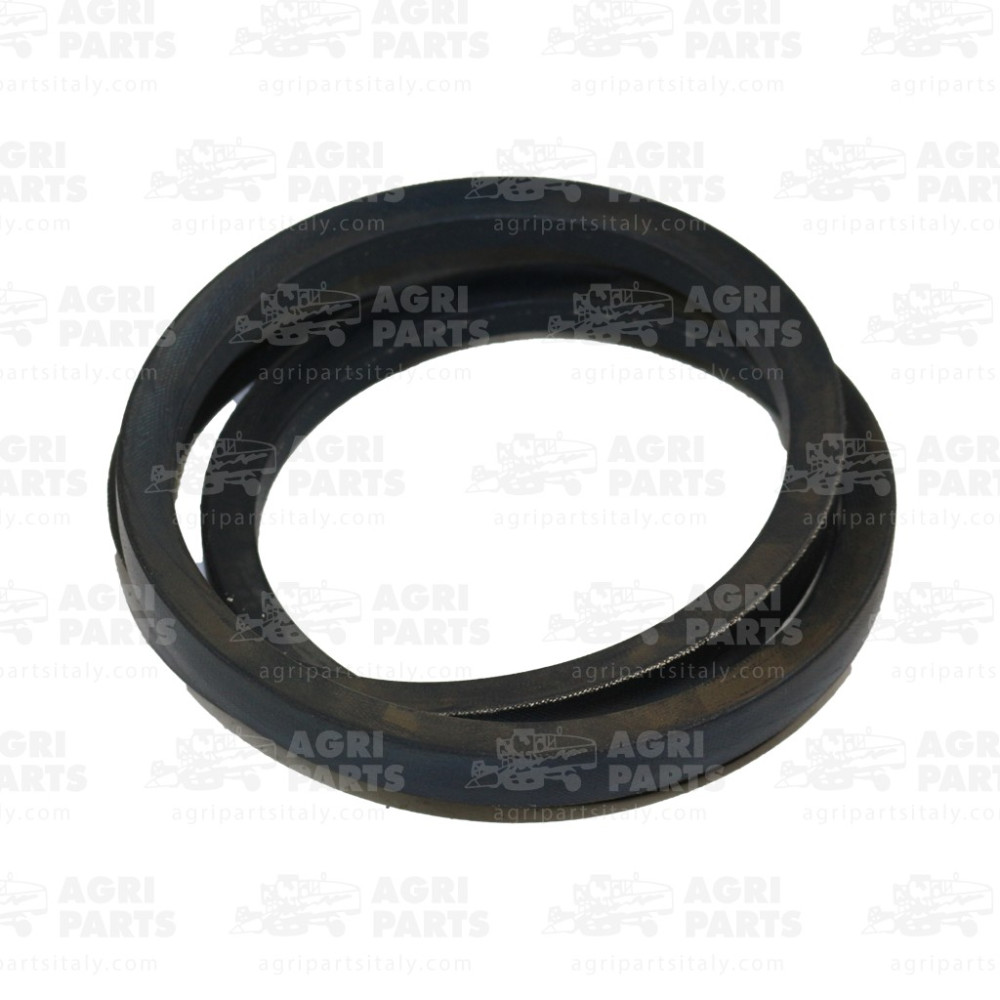 2338392 - CINGHIA - 0002338392CL