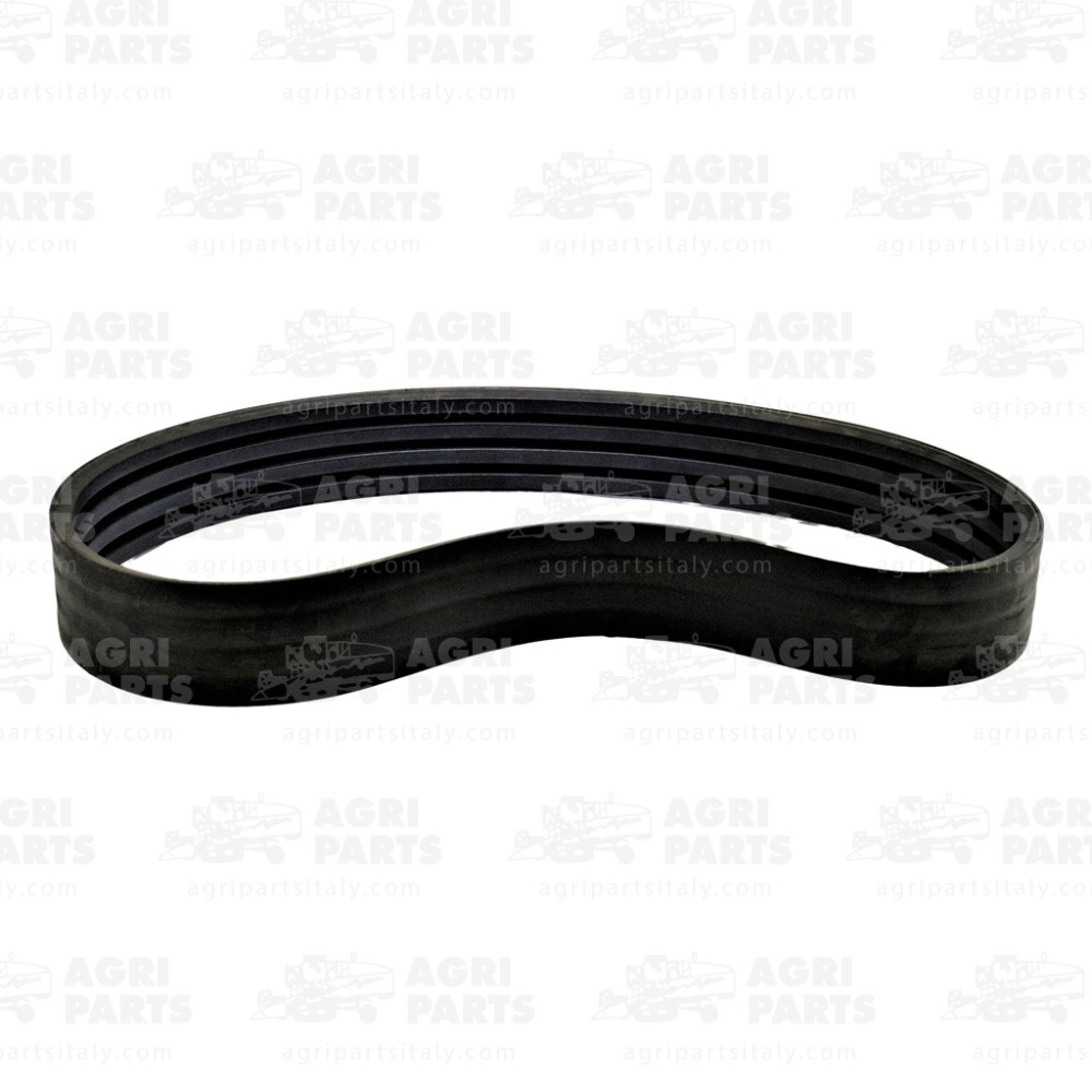 5440480 - CINGHIA - 0005440480CL