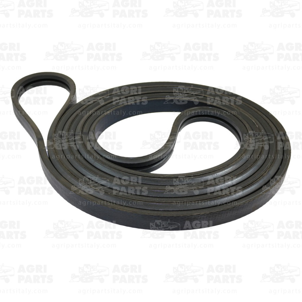 5540991 - RIEMEN (2HB) - 0005540991CL