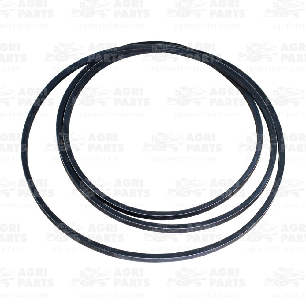 6030173 - RIEMEN - 0006030173CL