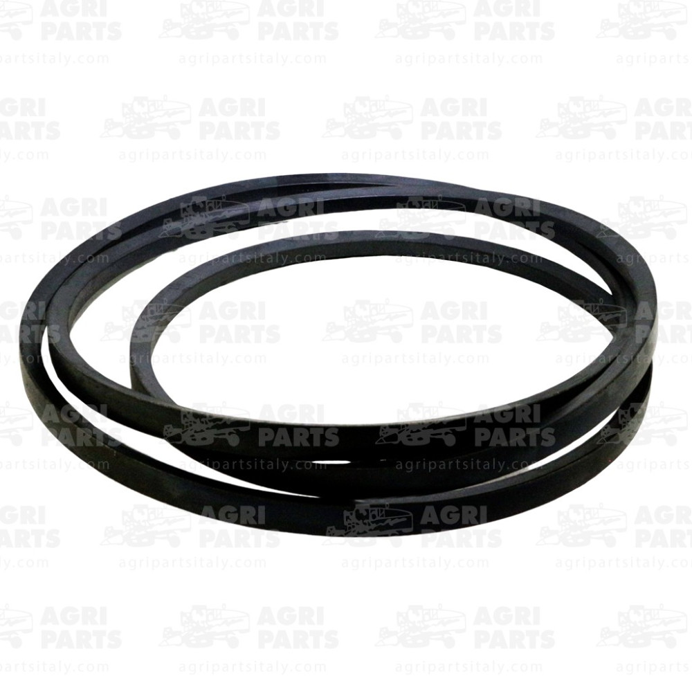 6032900 - RIEMEN - 0006032900CL