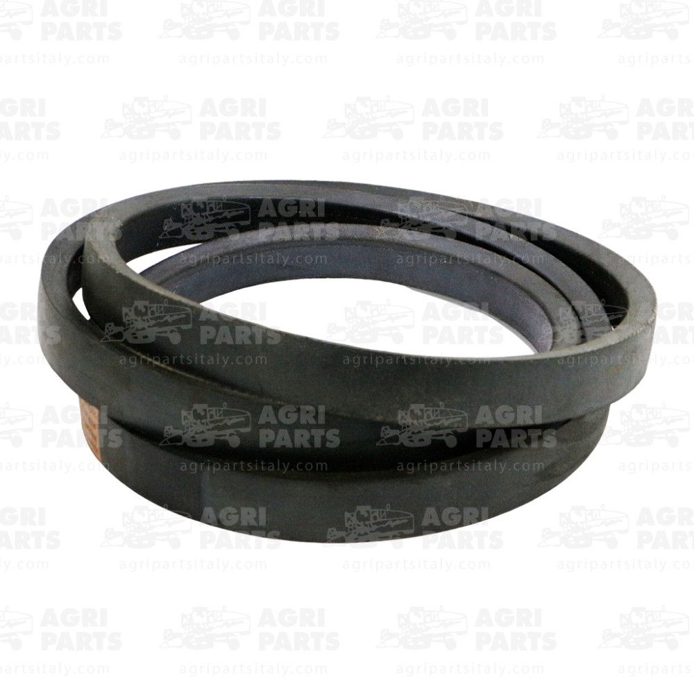 6033801 - RIEMEN - 0006033801CL