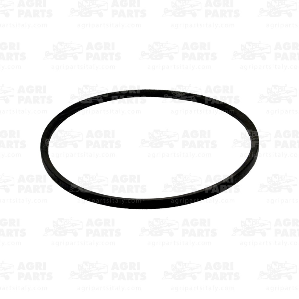 6219031 - RIEMEN - 0006219031CL