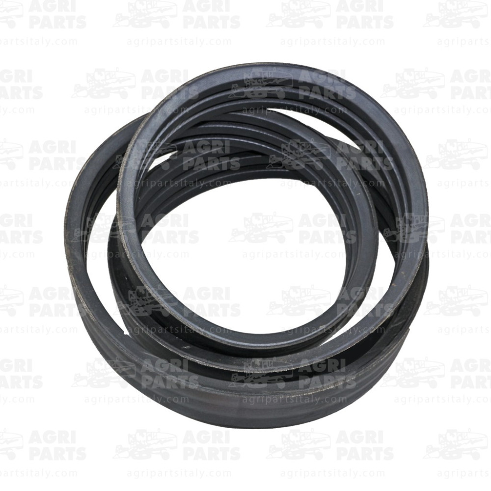 6293661 - CINGHIA - 0006293661CL