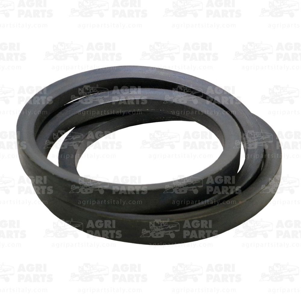 6440141 - CINGHIA - 0006440141CL