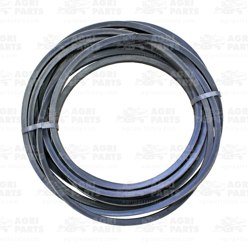 6443681 - KIT RIEMEN - 0006443681CL