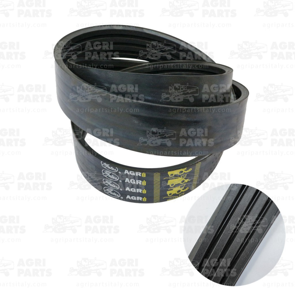 0732040 - RIEMEN - 0000732040CL