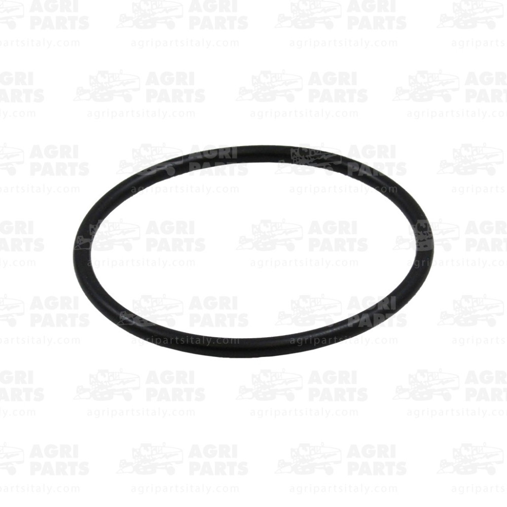 2110960 - RUNDDICHTRING - 0002110960CL