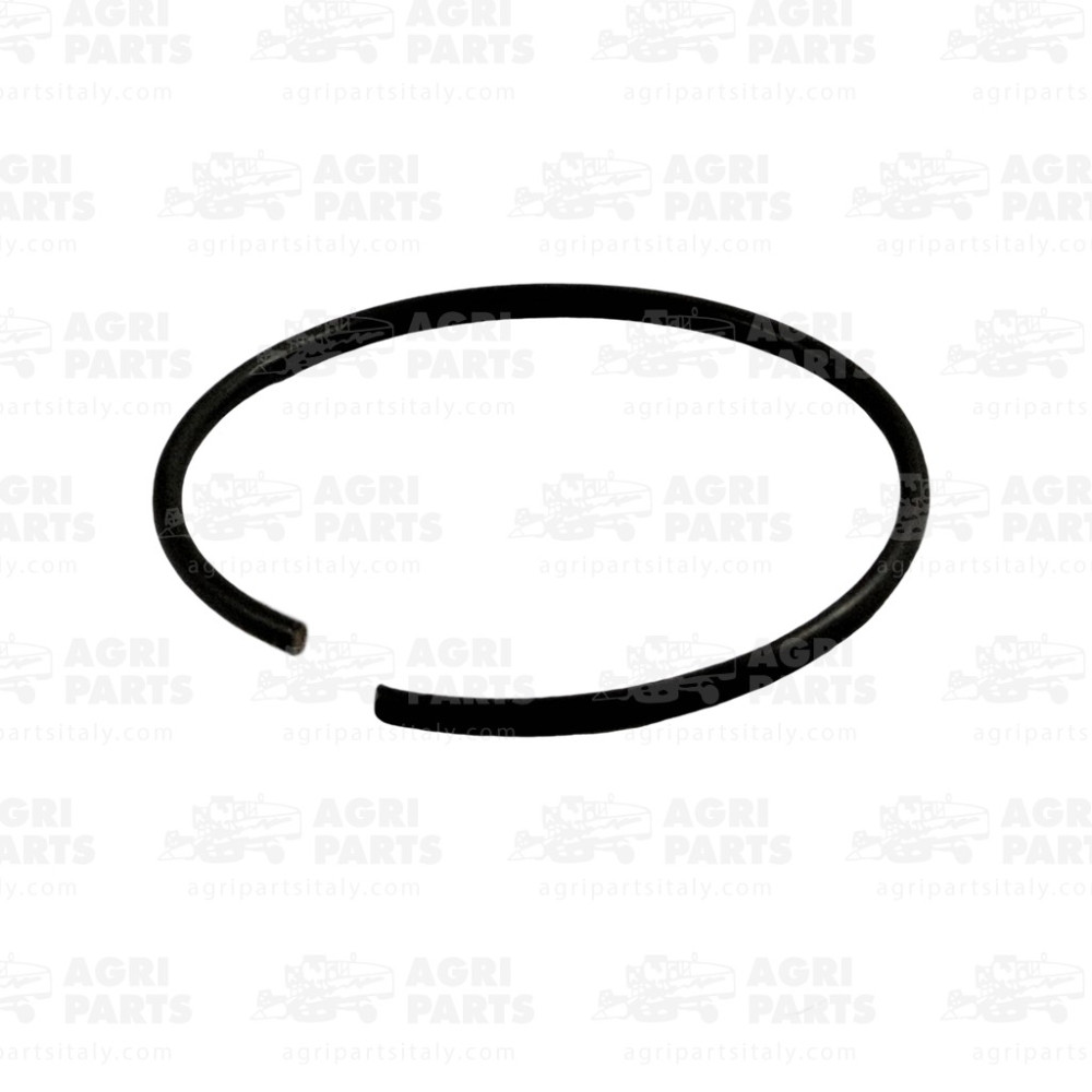 2391780 - SCHLAUCHRING - 0002391780CL