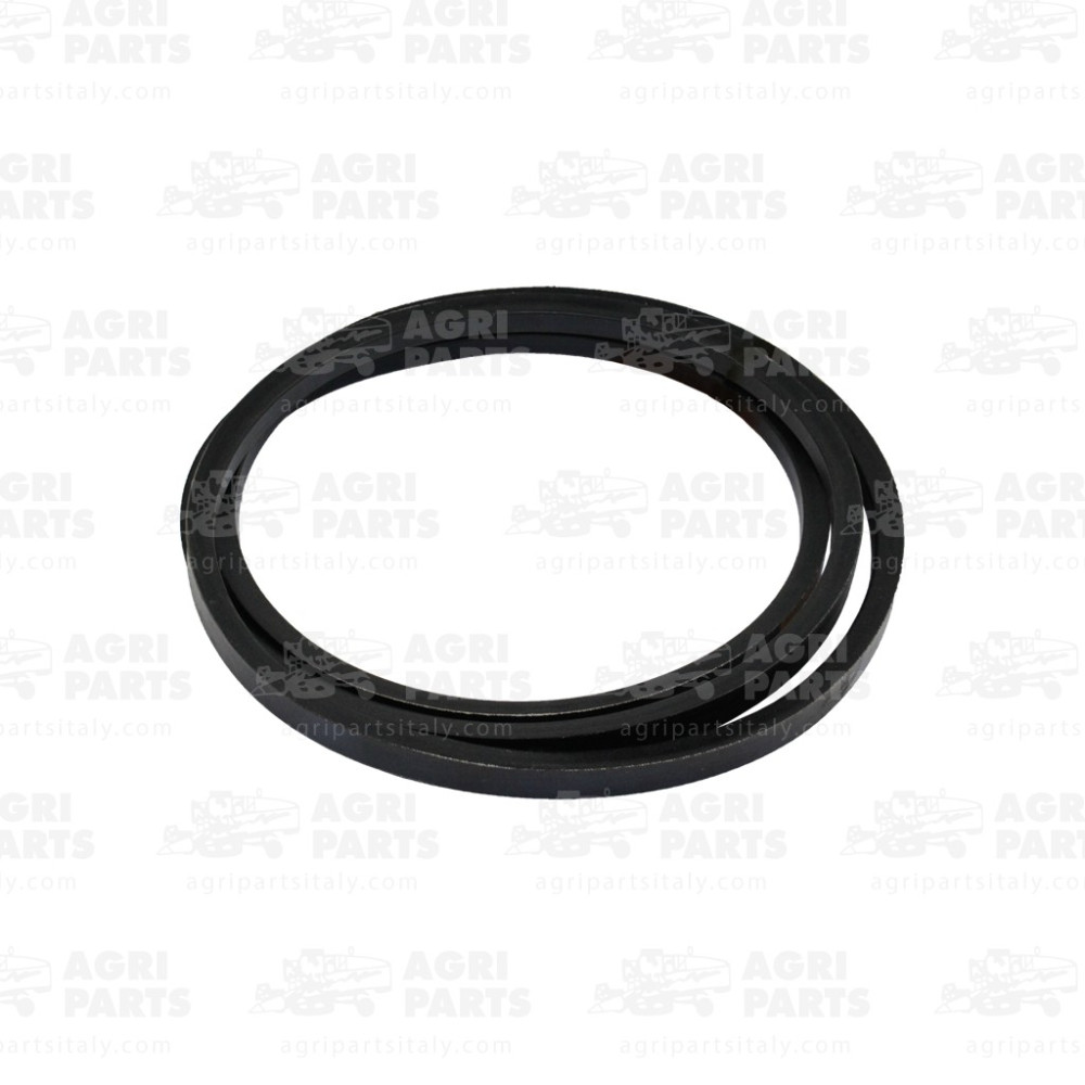 5066712 - RIEMEN - 0005066712CL