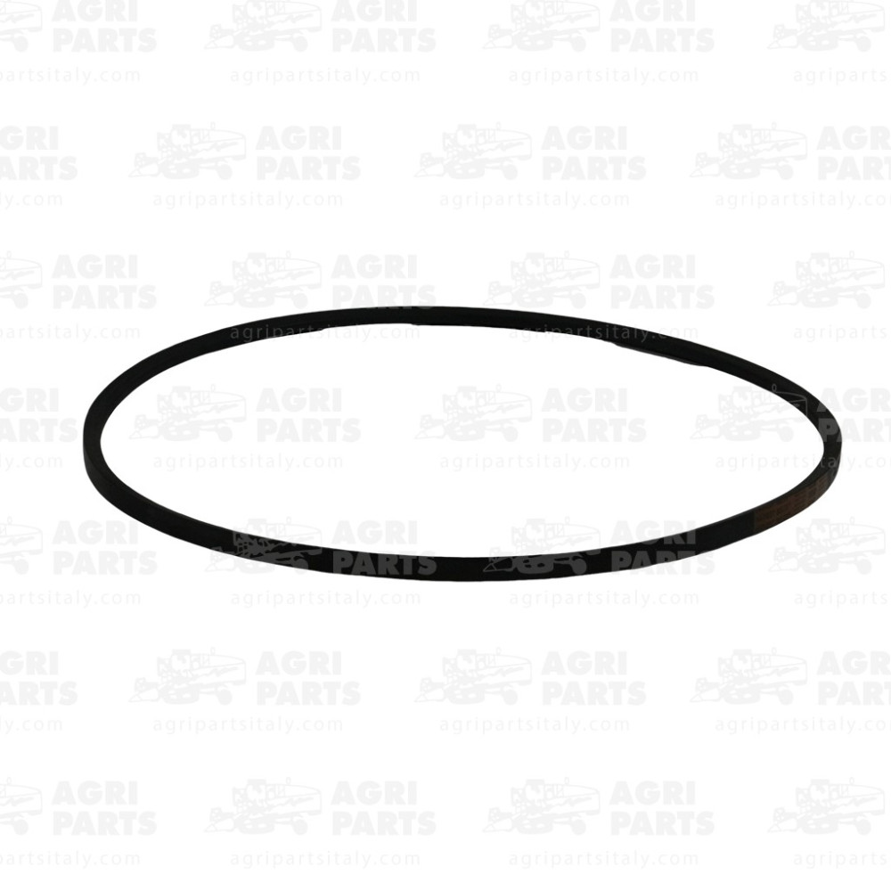 1335280 - RIEMEN - 0001335280CL