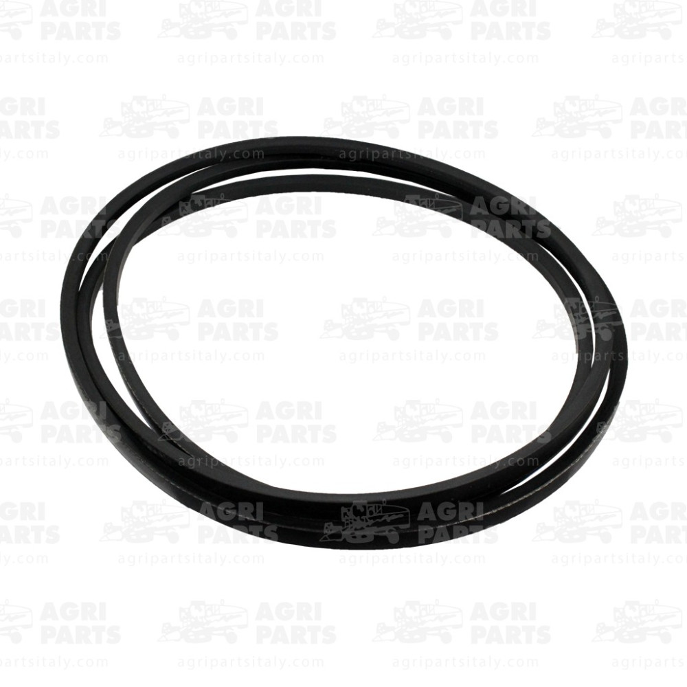 6034301 - SERIE CINGHIE - 0006034301CL