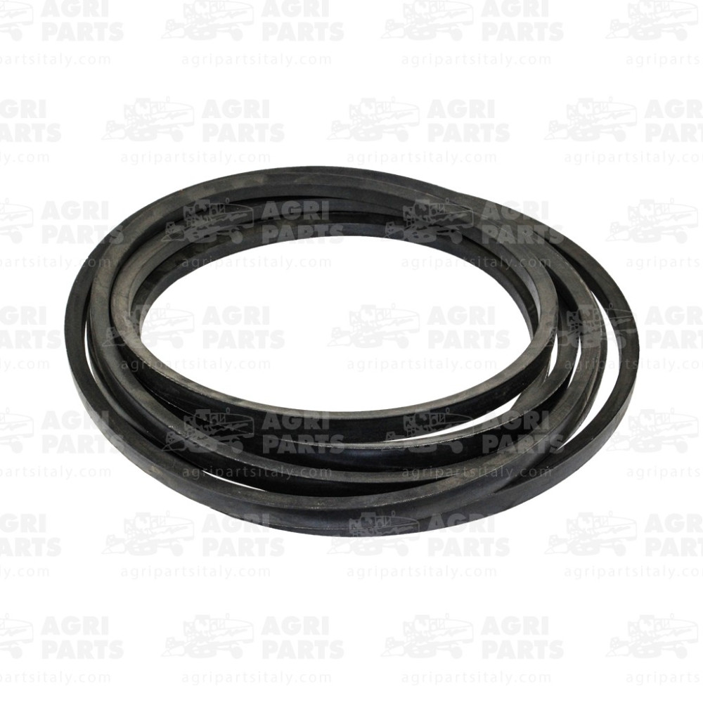 6298361 - RIEMEN - 0006298361CL