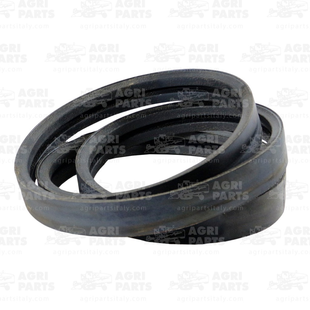 6672500 - CINGHIA (2HB) - 0006672500CL