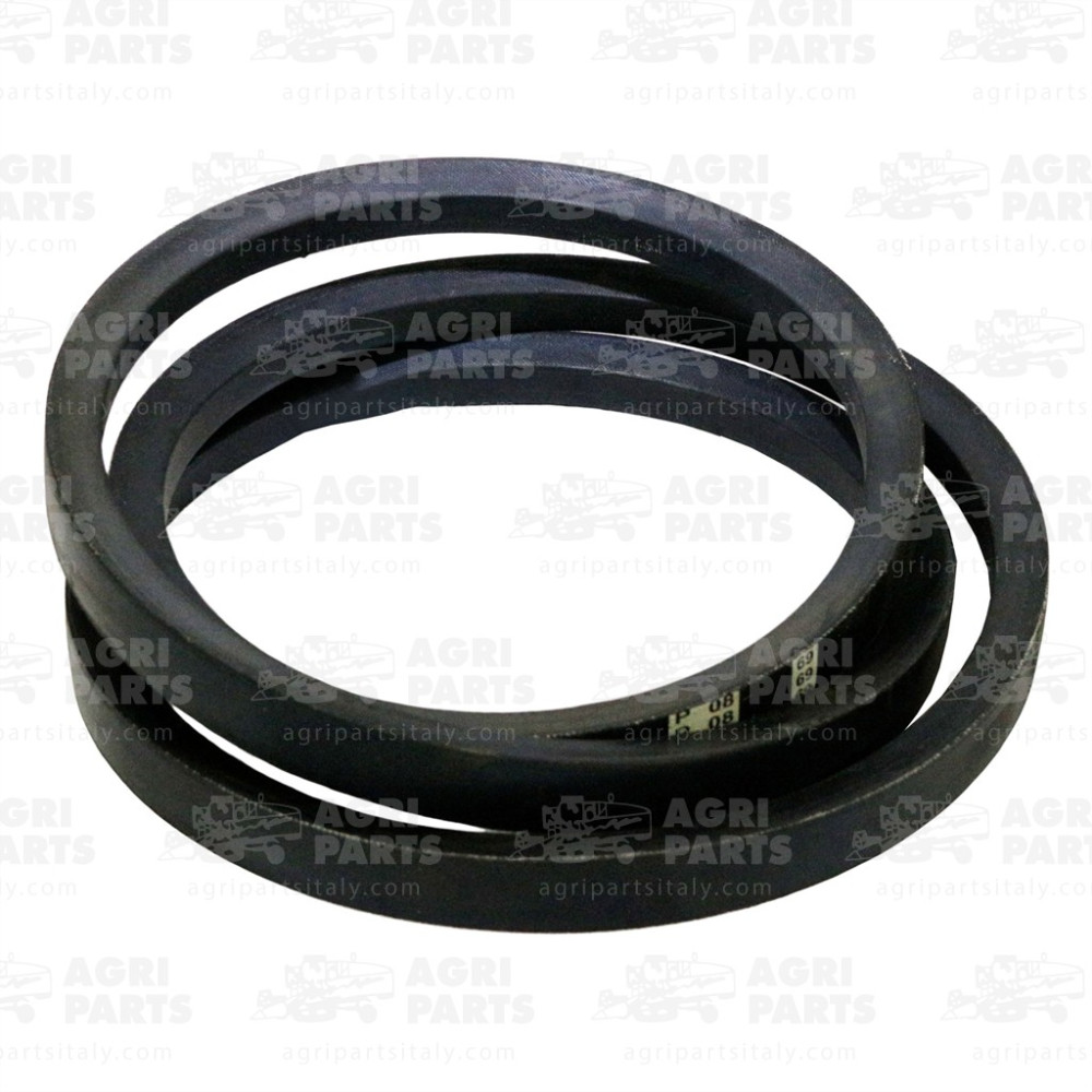 6676840 - CINGHIA - 0006676840CL