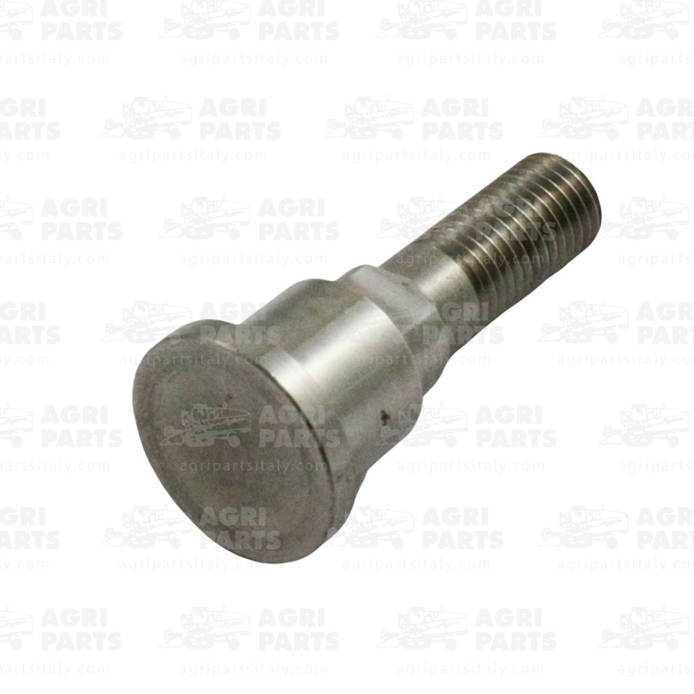 6805774 - ZAPFEN - 0006805774CL