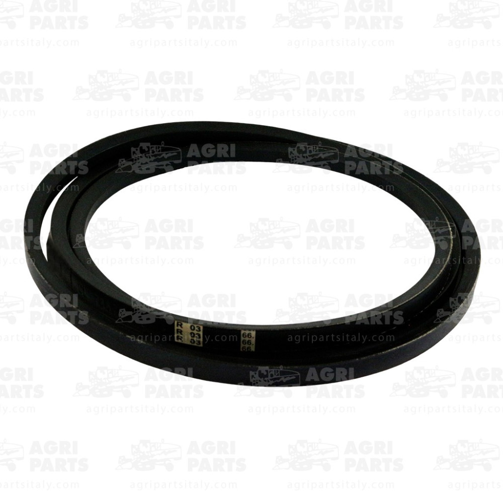 7447850 - KEILRIEMEN - 0007447850CL