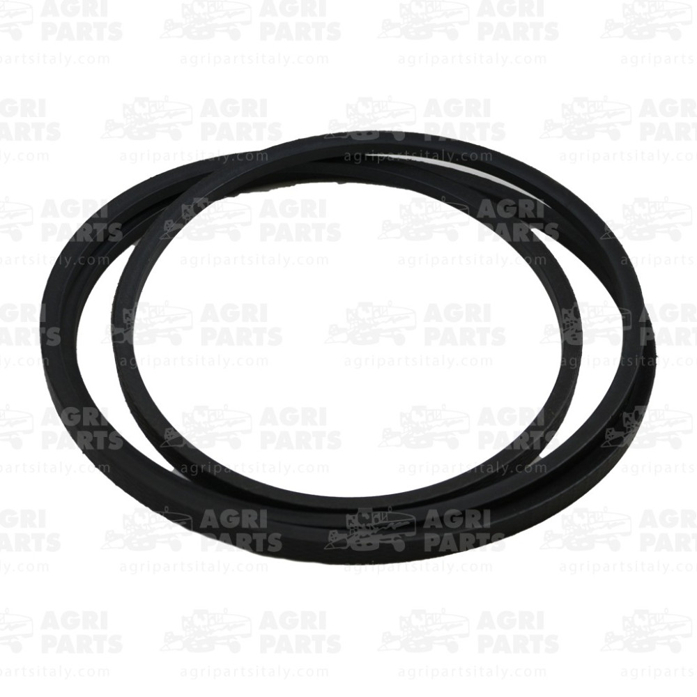 7449630 - CINGHIA - 0007449630CL