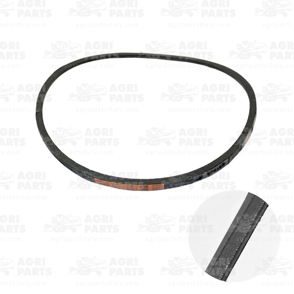 R73189 - CINGHIA - R73189JD