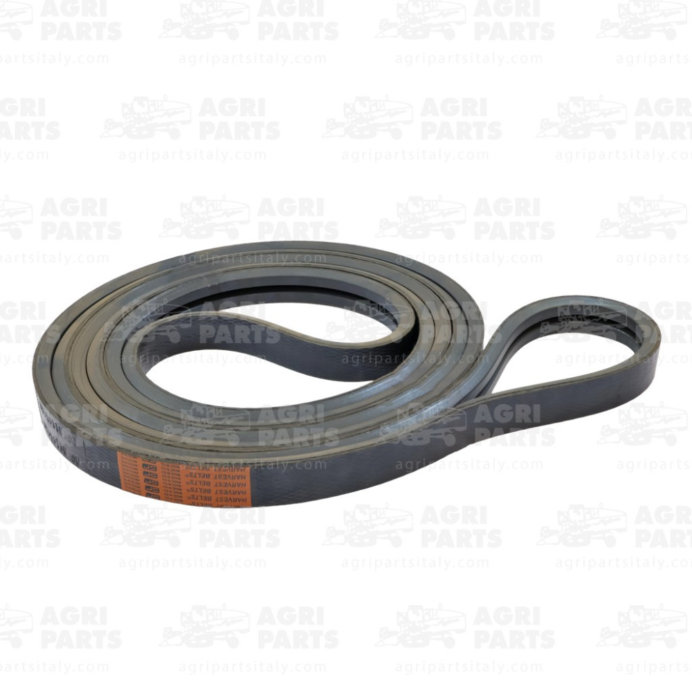 1145188 - CINGHIA - 01145188DF