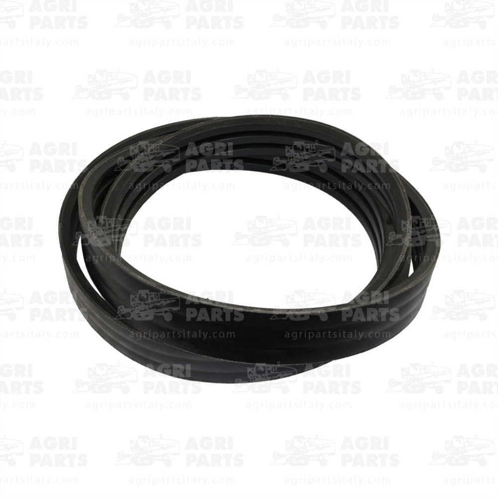 6674580 - CINGHIA (3HB) - 0006674580CL