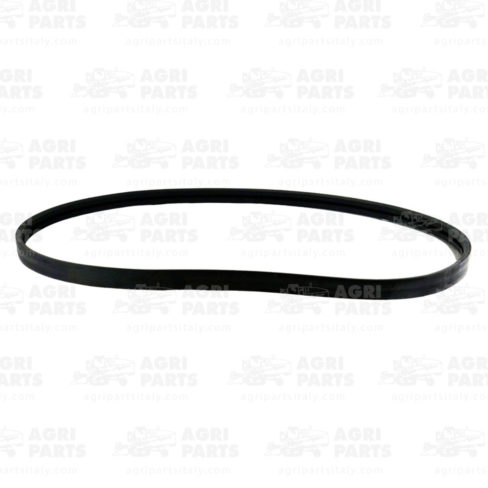 6679583 - RIEMEN - 0006679583CL