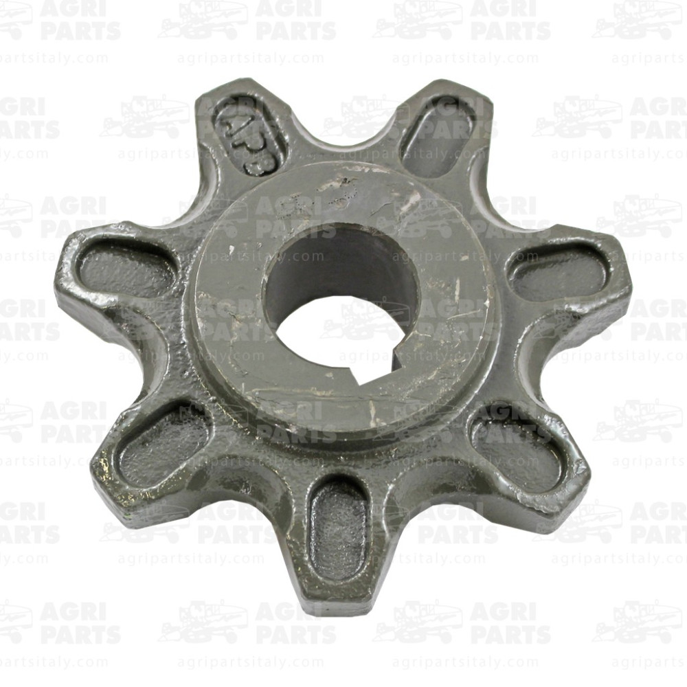 6788564 - PIGNONE - 0006788564CL