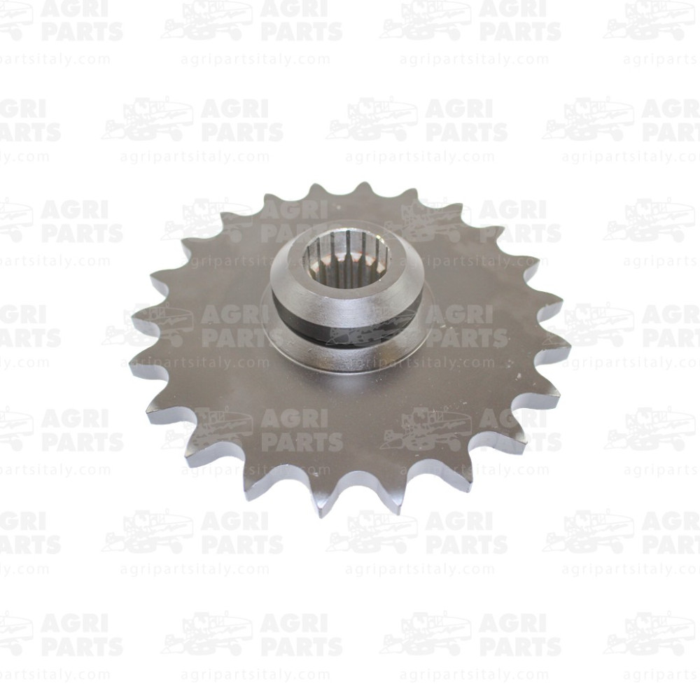 9851040 - PIGNONE - 0009851040CL