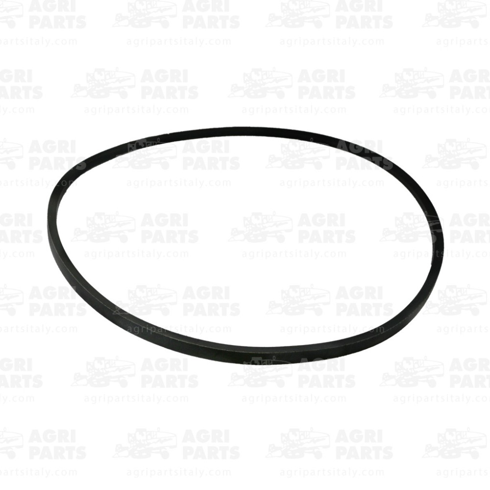 614217 - CINGHIA - 0614217SA