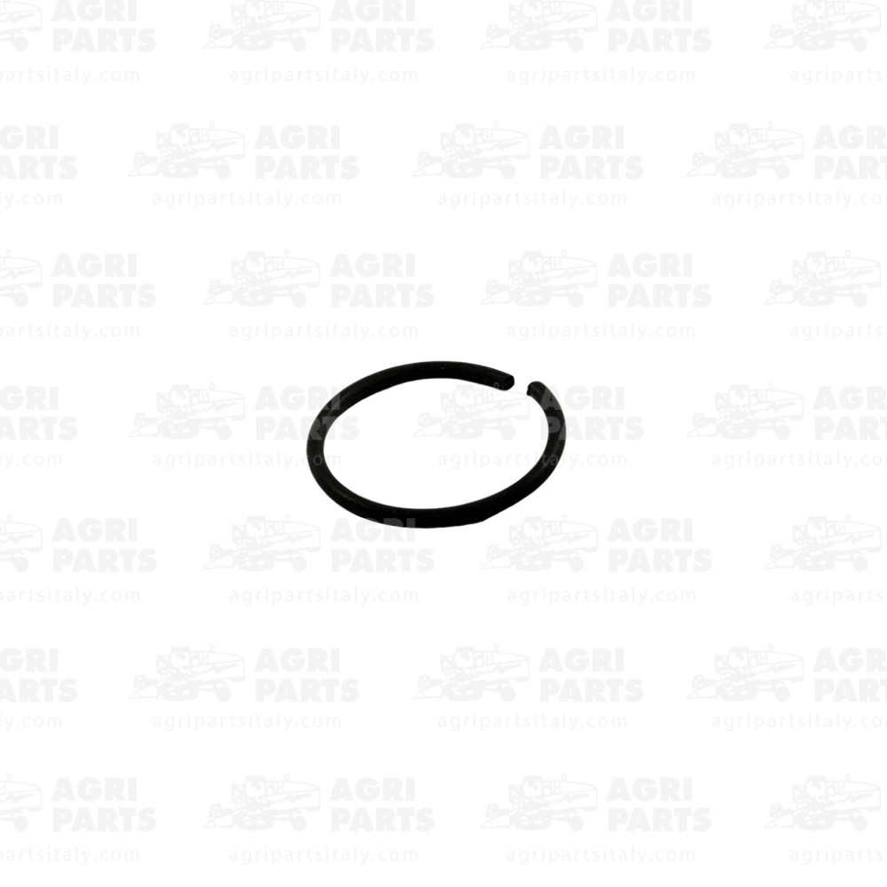 123763A1 - ANNEAU D'ARRET - 123763A1CNH