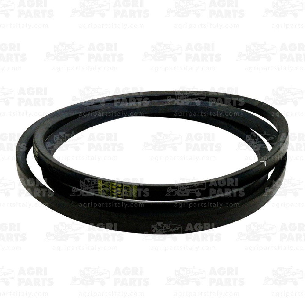 6445090 - KEILRIEMEN - 0006445090CL