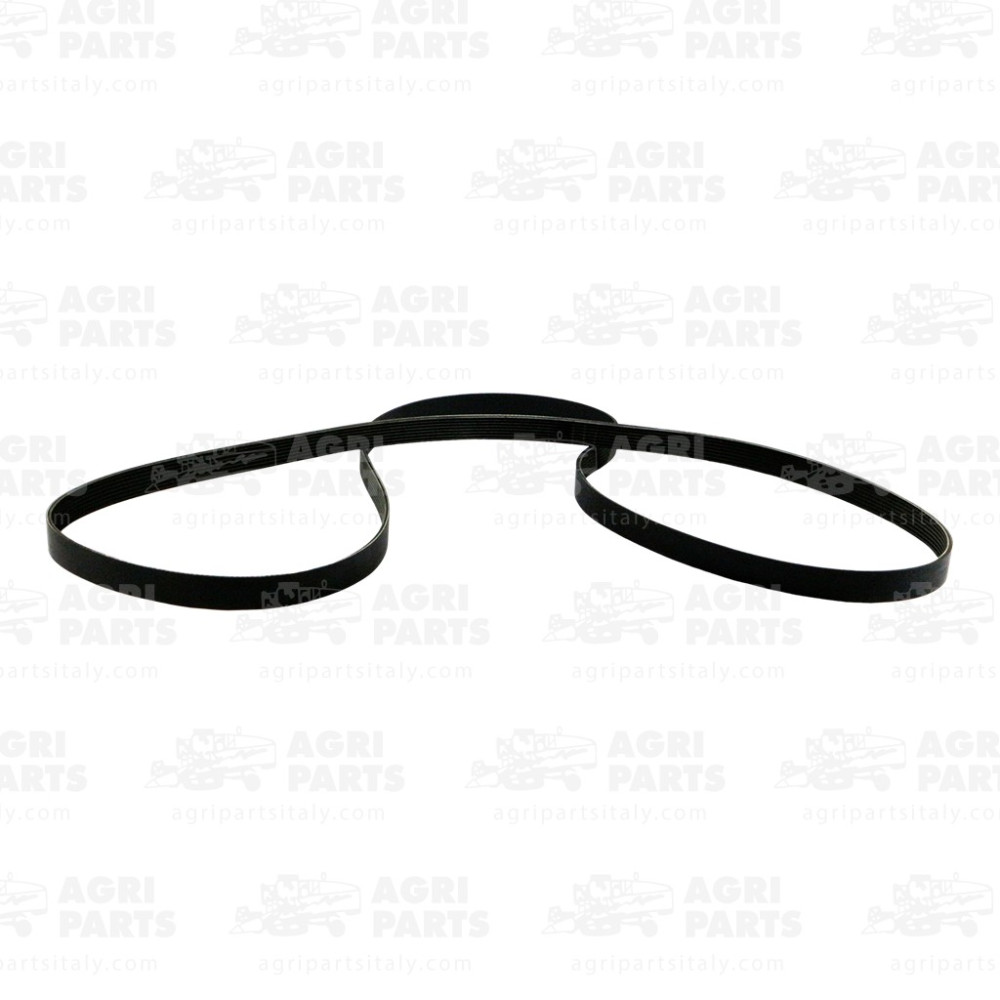 6603820 - CINGHIA - MULTIGOLE - 0006603820CL