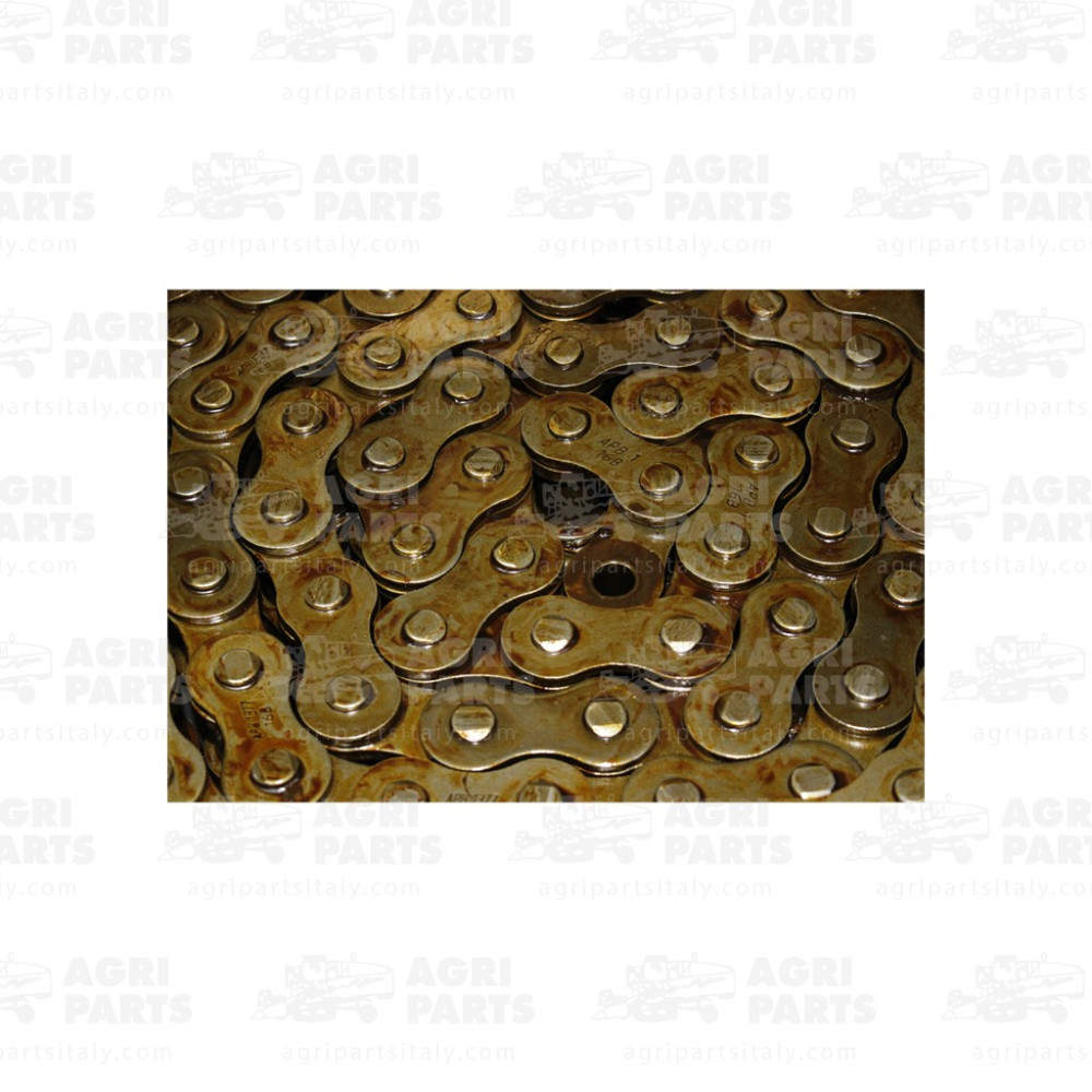 8373891 - ROLLER CHAIN - 0008373891CL
