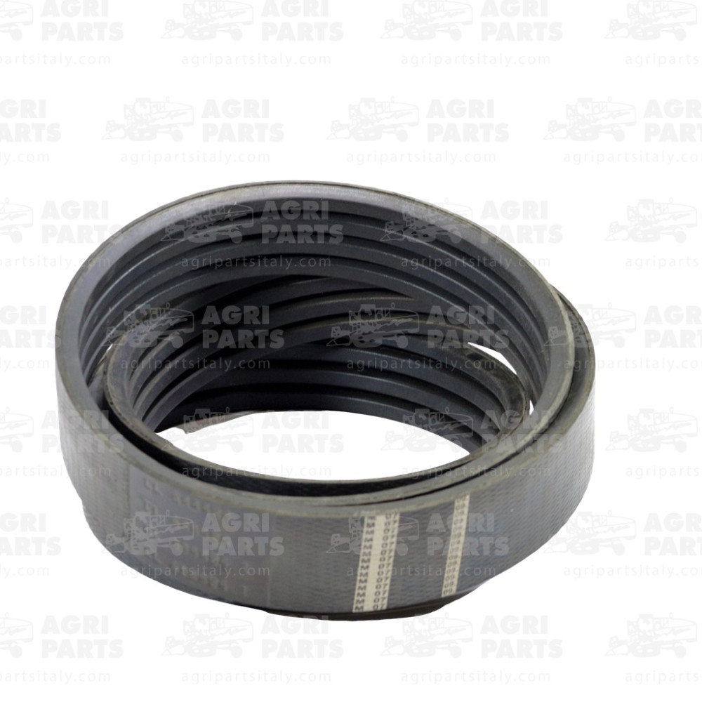 6444041 - RIEMEN - 0006444041CL