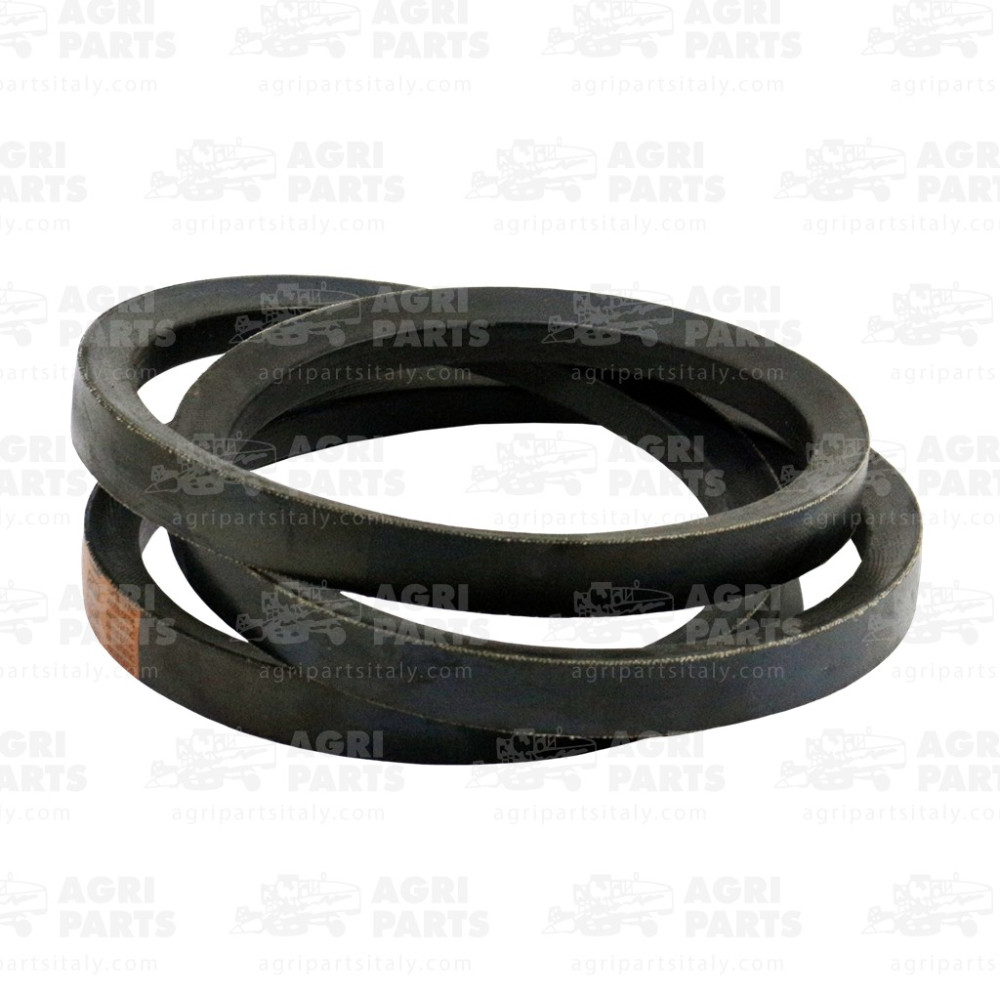 6560280 - CINGHIA - 0006560280CL