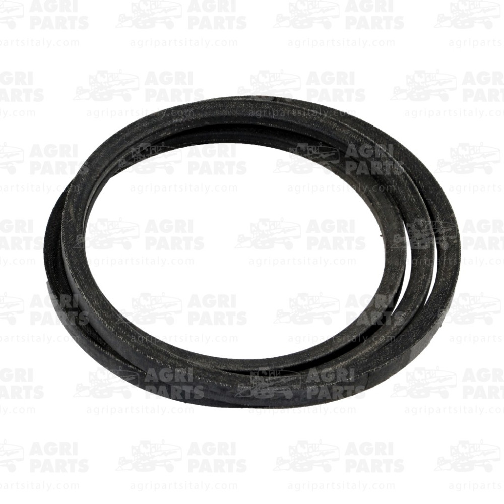 6675601 - RIEMEN - 0006675601CL