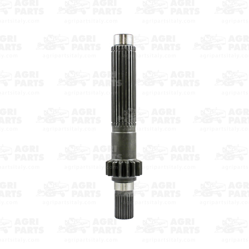 6695490 - WELLE - 0006695490CL