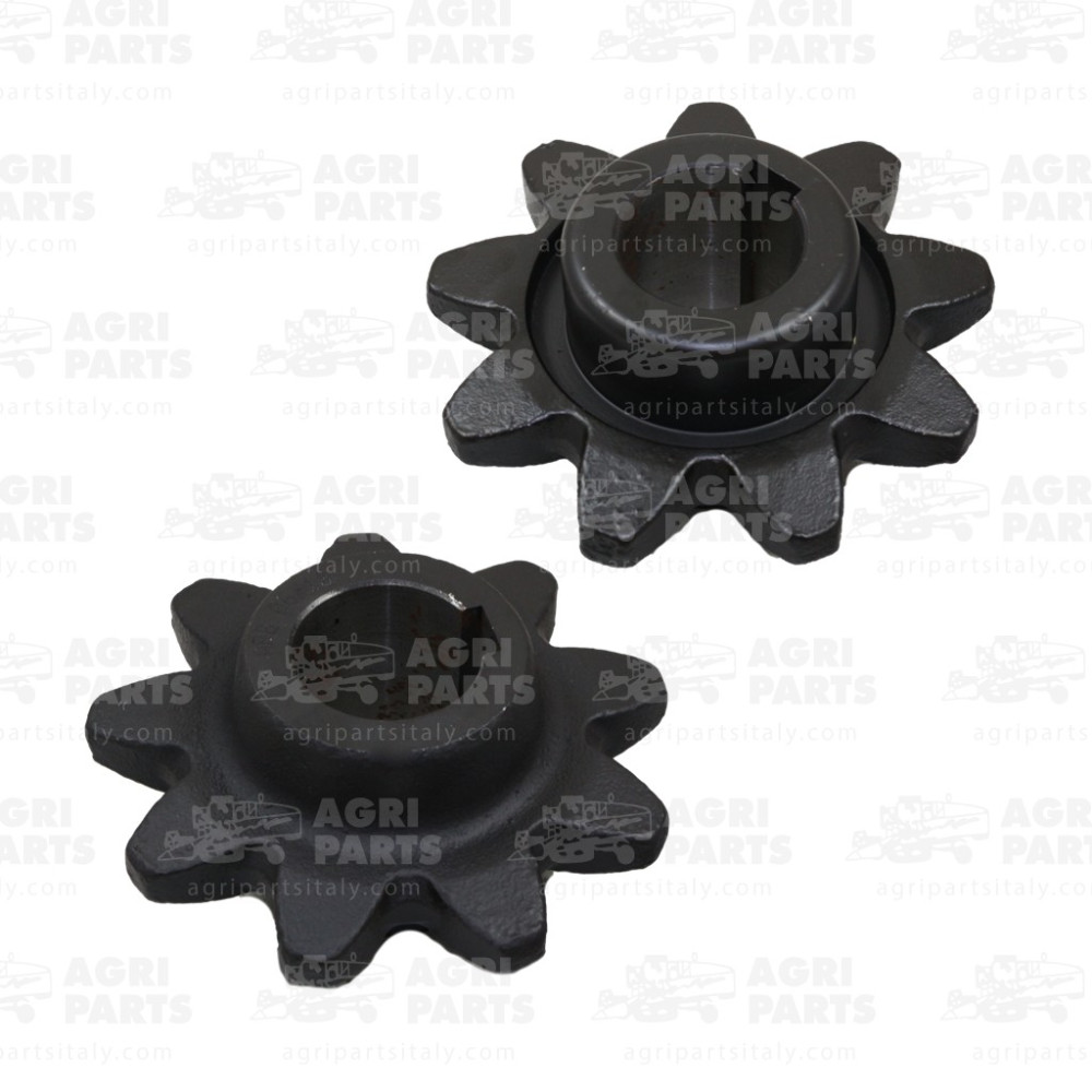 6704891 - PIGNON - 0006704891CL