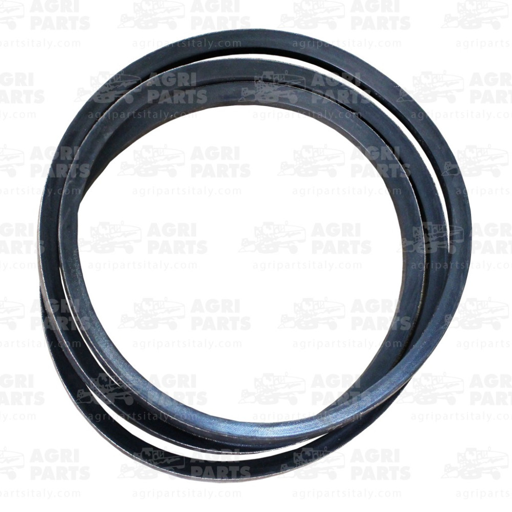 6710131 - RIEMEN - 0006710131CL