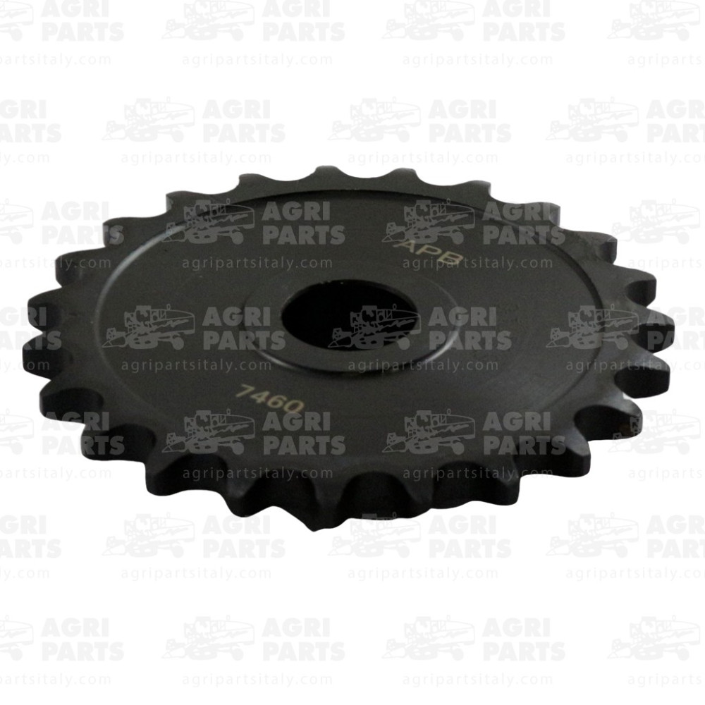 7485960 - PIGNONE - 0007485960CL