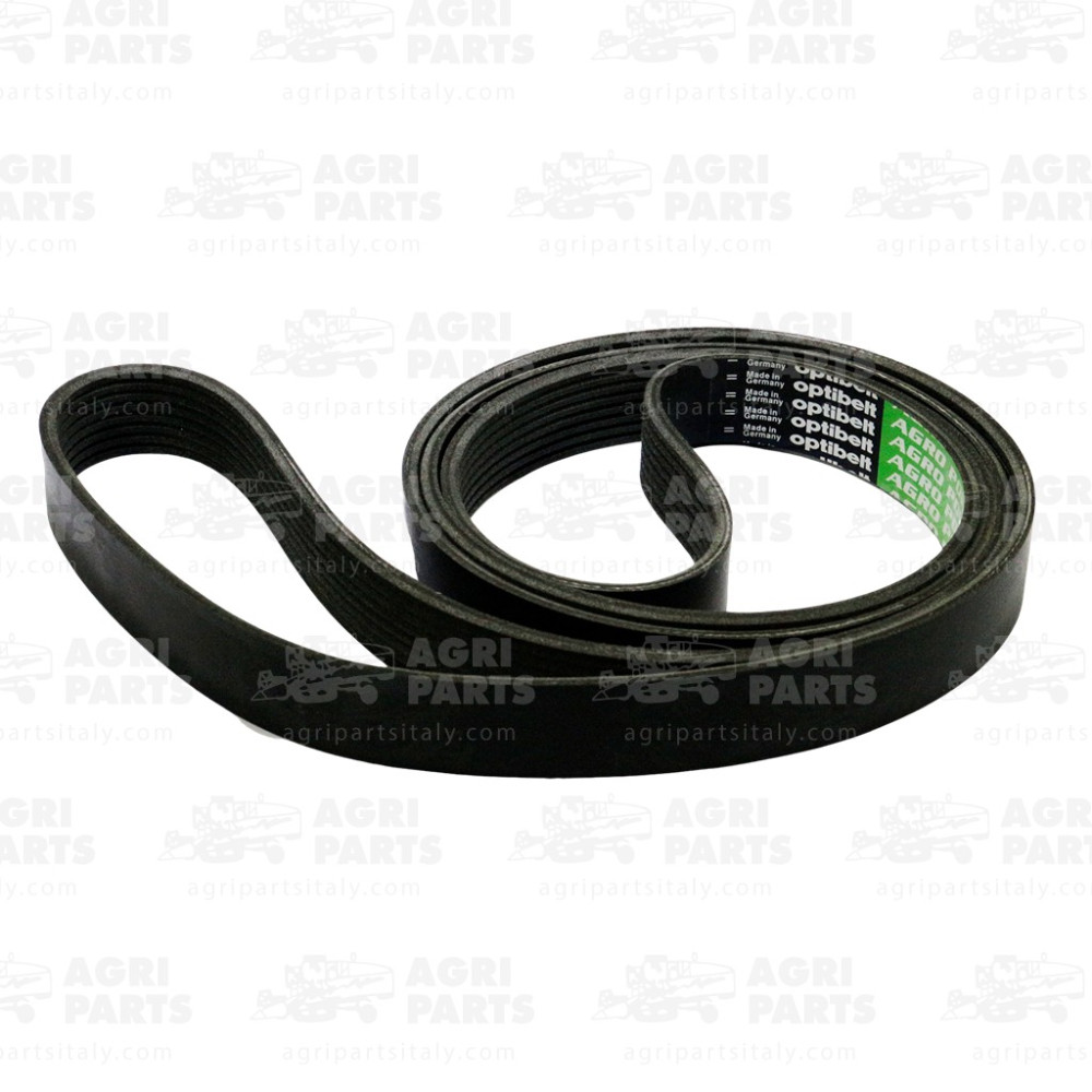 R504618 - CINGHIA MULTIGOLE - R504618JD