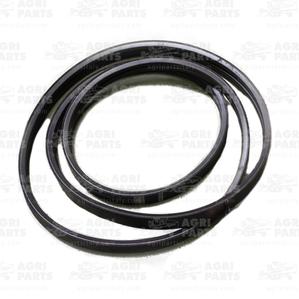 6448890 - RIEMEN (2HB) - 0006448890CL