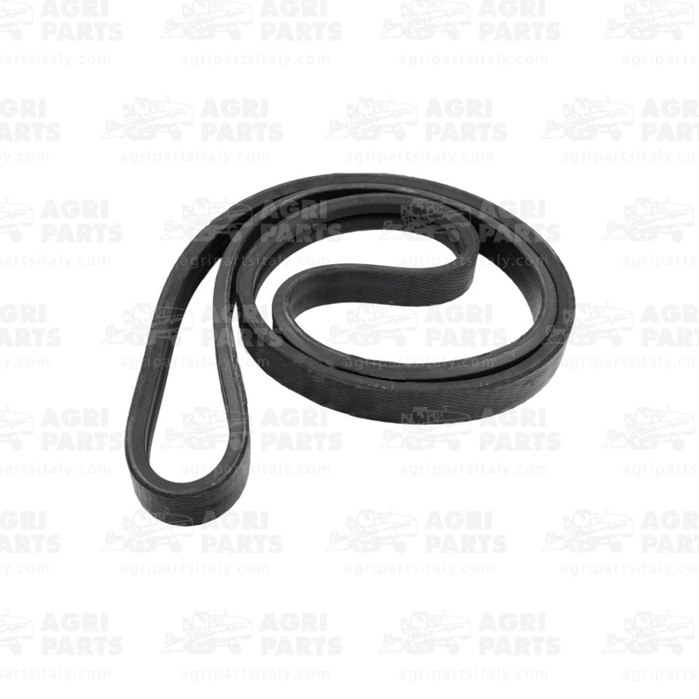 6672520 - CINGHIA (2HB) - 0006672520CL