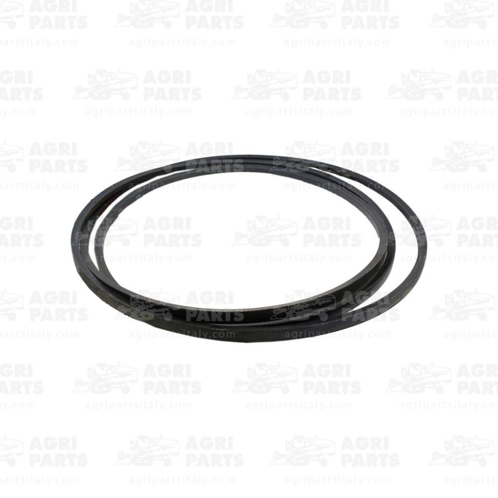 6679570 - CINGHIA - 0006679570CL