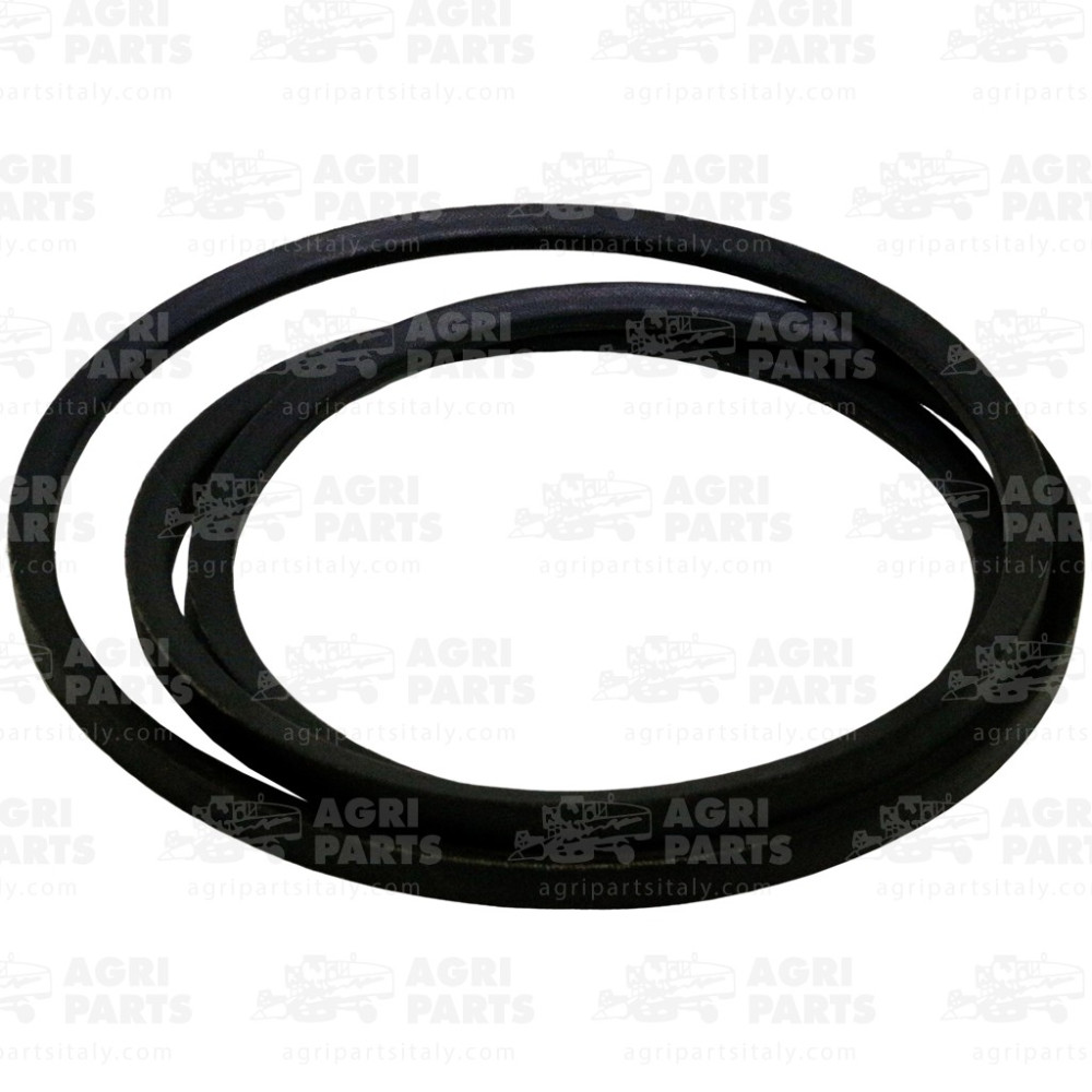 7498240 - CINGHIA - 0007498240CL