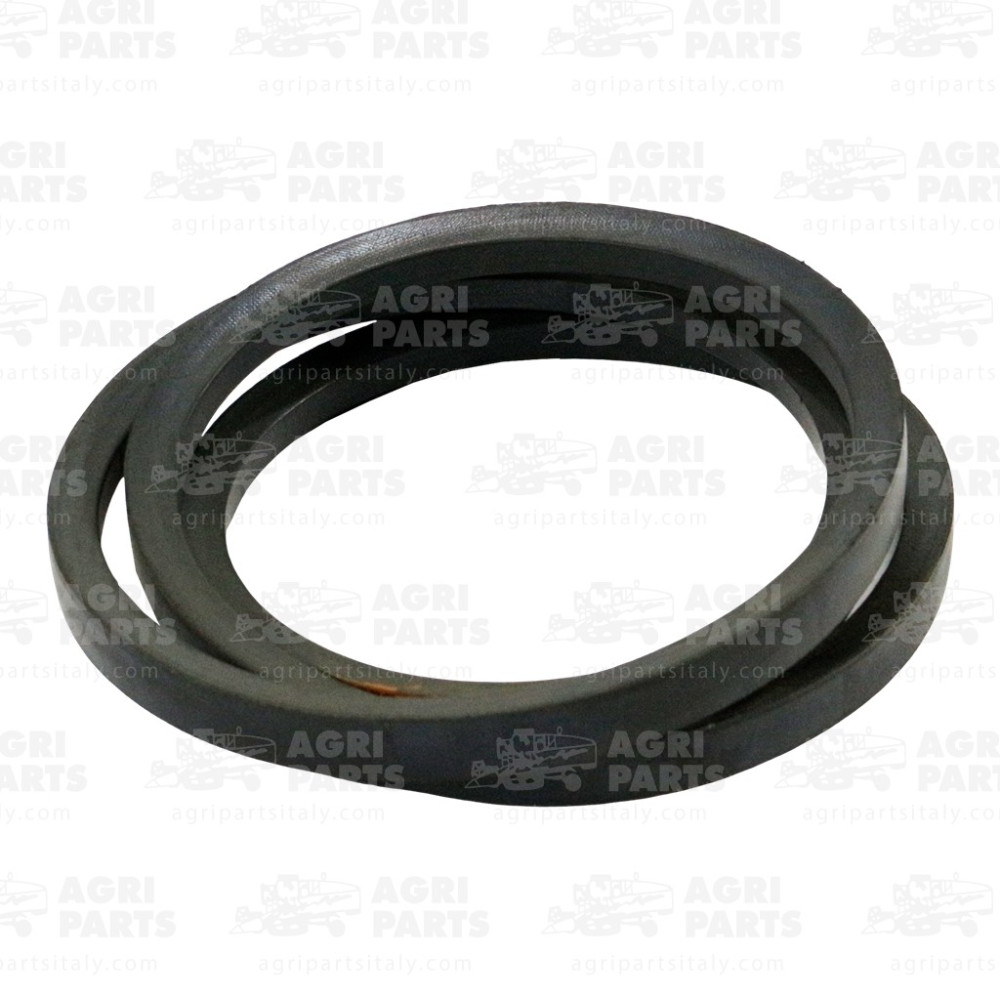 7834301 - CINGHIA - 0007834301CL