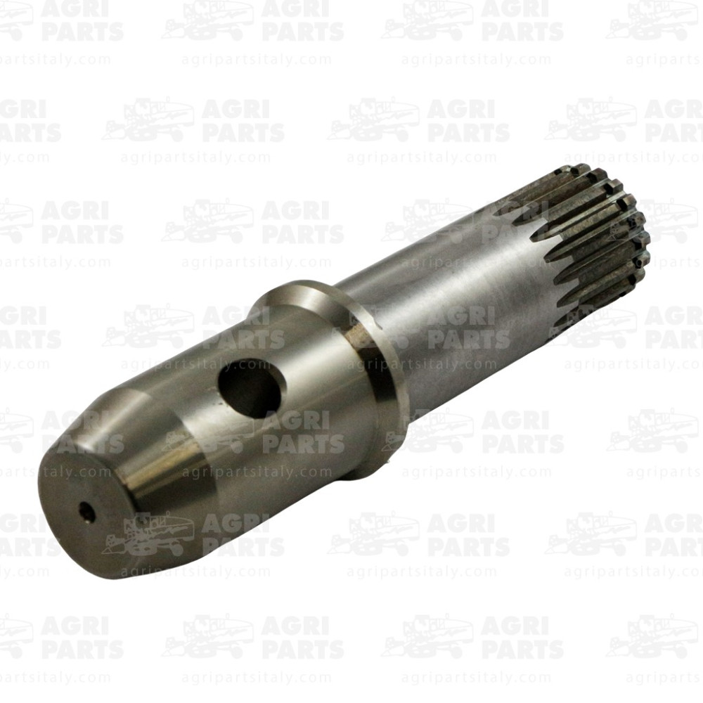 7927160 - WELLE - 0007927160CL