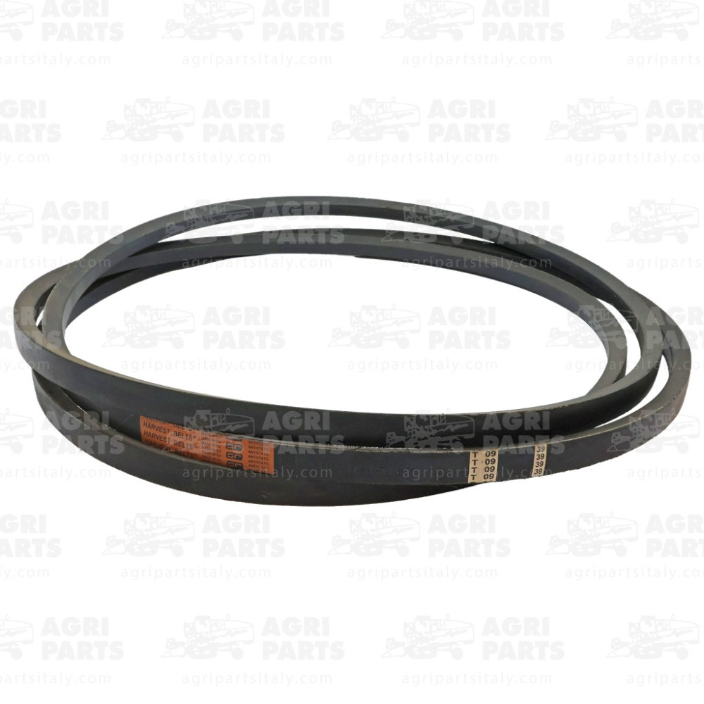 340433473 - CINGHIA - LA340433473AG